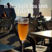 In This Light You Look Like Me