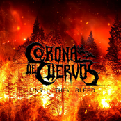 Until They Bleed - Single