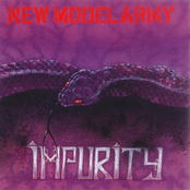 New Model Army – Impurity