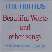 Beautiful Waste and Other Songs: Mini Masterpieces 1983 - 1985