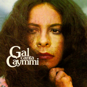 gal canta caymmi