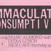 Immaculate Consumptive