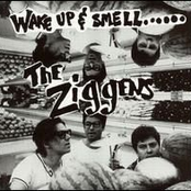 Tidal Wave by The Ziggens