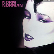 norm norman