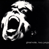 Ghost Note: Holy Jungle