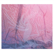 A Life We Once Lived