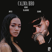 Calma Bro (Remix)