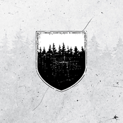 White Night/Black Forest