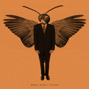 Wasps, Birds & Clients