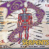 You Have Just Been Poisoned by The Serpents