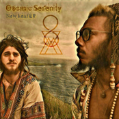 Cosmic Serenity: New Leaf EP