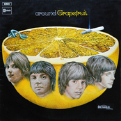 Ain't It Good by Grapefruit