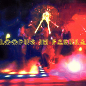 Loopus in Fabula