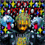 LOST FILES {DEEP FRIED EDITION}