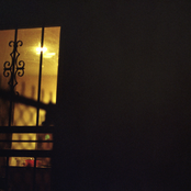 What Are They Doing Over There?