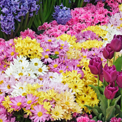 NIGGA LIU KANG GREATEST HITS VOL. 2 GOD OF KANG