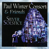 Silver Solstice