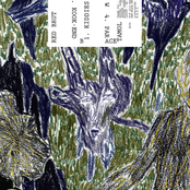 s/t