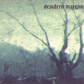 Songs Over Ruins I by Desiderii Marginis