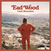 Cash Mountain