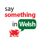 Say Something In Welsh