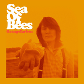 More by Sea Of Bees