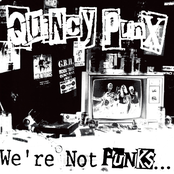 We're Not Punks...But We Play Them On TV