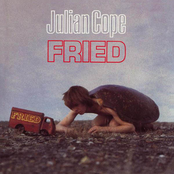 Land Of Fear by Julian Cope