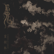 靈樹林 / Forest of Ghost