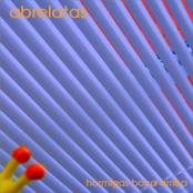 Hormigas Boca Arriba