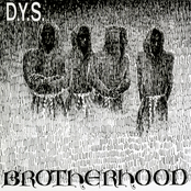 Brotherhood Album Picture
