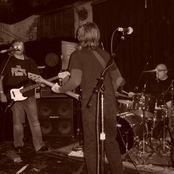 manatee live 2009 single