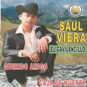 20 Exitos Querido Amigo