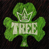 Johnny Bravo by Tree
