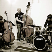 daniel levin trio