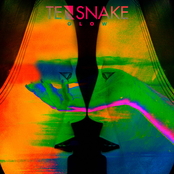 tensnake feat. nile rodgers & fiora