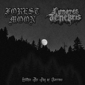 Within The Fog of Sorrow