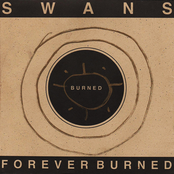 No Cure For The Lonely by Swans