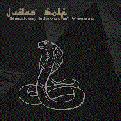 Snakes, Slaves n' Voices