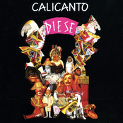 Saltini by Calicanto