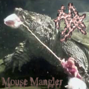 Mouse Mangler