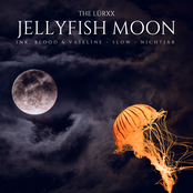 Jellyfish Moon