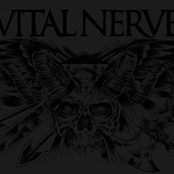 Vital Nerve