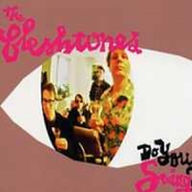 Communication Breakdown by The Fleshtones