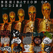 EXHIBITION OF BODIES 15 ways split