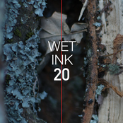 Wet Ink Ensemble: Wet Ink 20