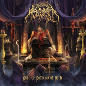 Flesh Hoarder: Dwelling With Hatred