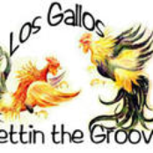 los gallos