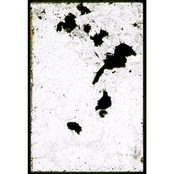 ca373 - Sabrina Siegel - Silent Forest