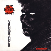 Great Expectations by New Model Army